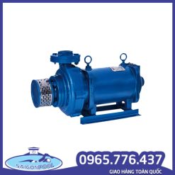 Máy bơm thả chìm trục ngang Varuna Ấn Độ